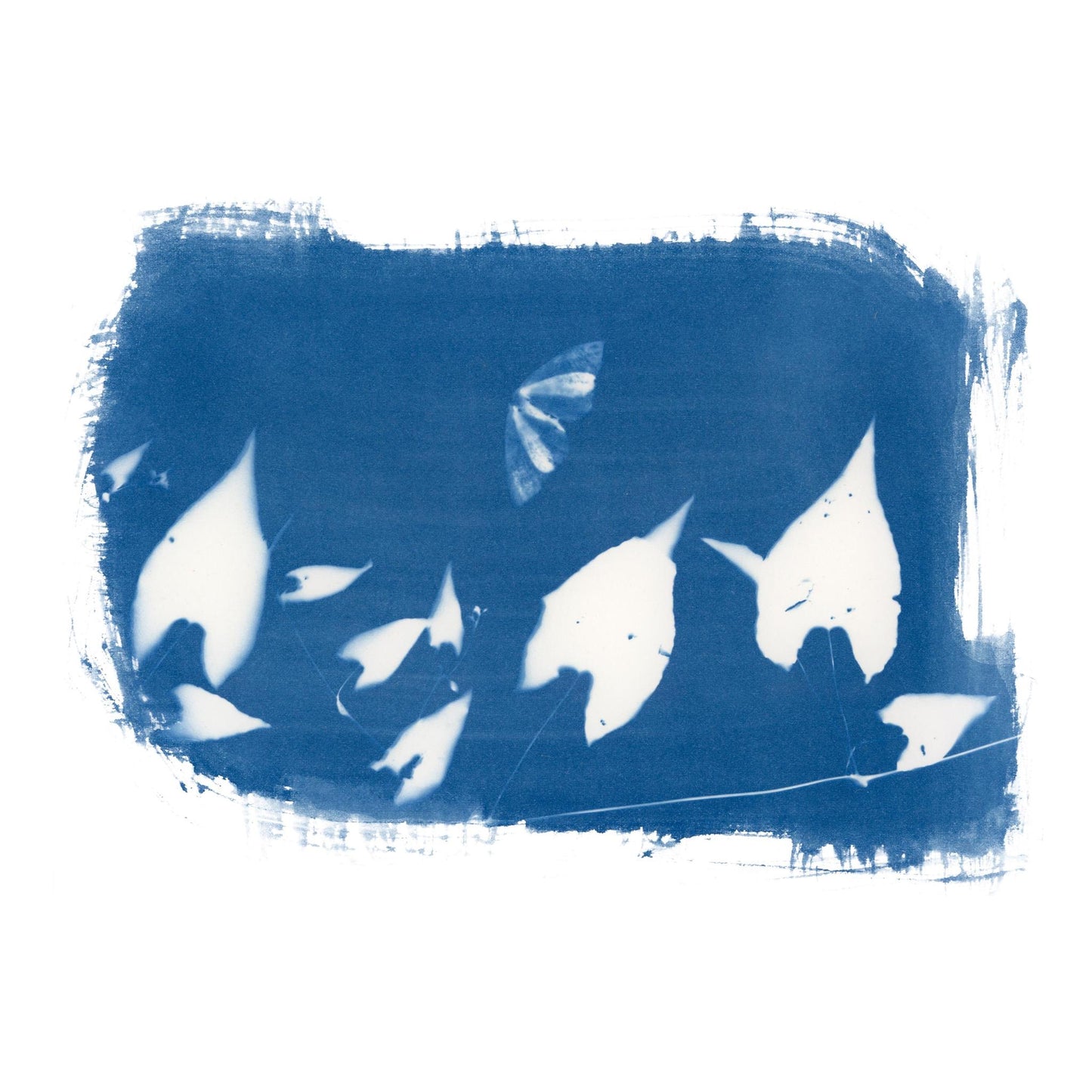 "Moth Vine" Cyanotype Print Grey T-Shirt featuring Art by Emmerson Wheeler